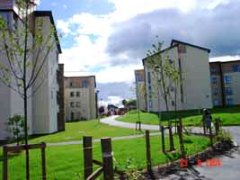 housew within green